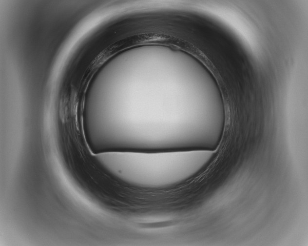 X0000116441439200912081344