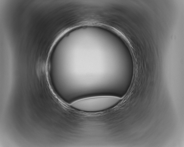 X0000116441440200912081344