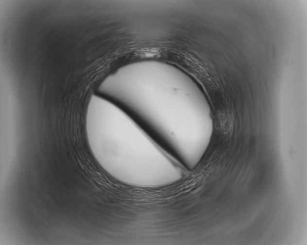 X0000116441442200912081343