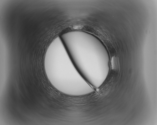 X0000116441443200912081343