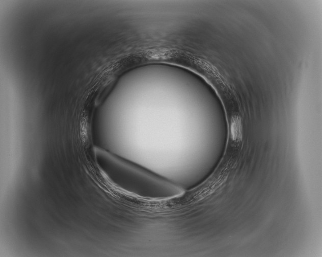 X0000116441444200912081343