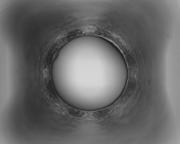 X0000116441445200912081343