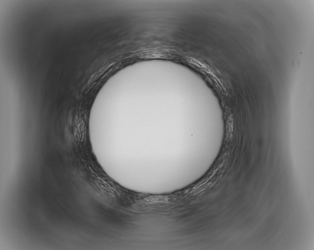 X0000116441446200912081343
