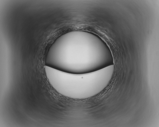 X0000116441447200912081343