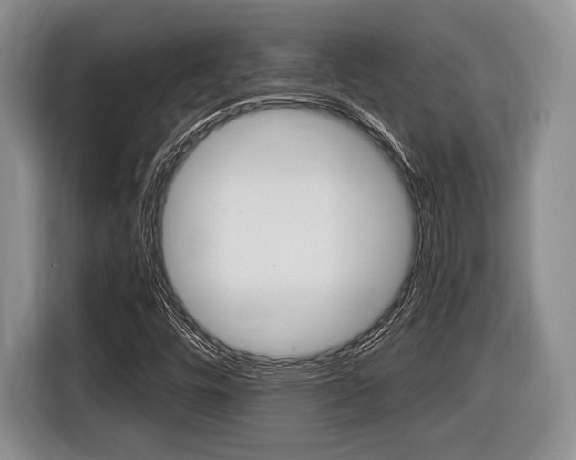 X0000116441448200912081343