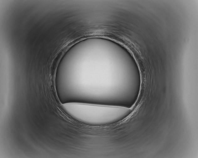 X0000116441449200912081343