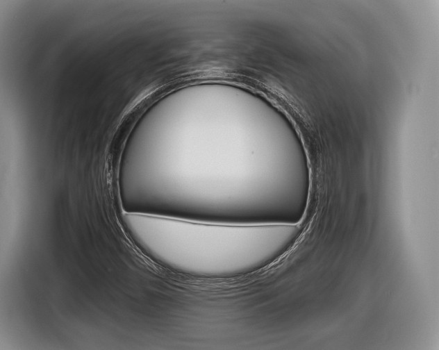 X0000116441450200912081343