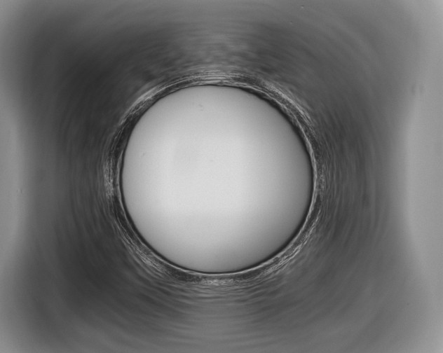 X0000116441451200912081343