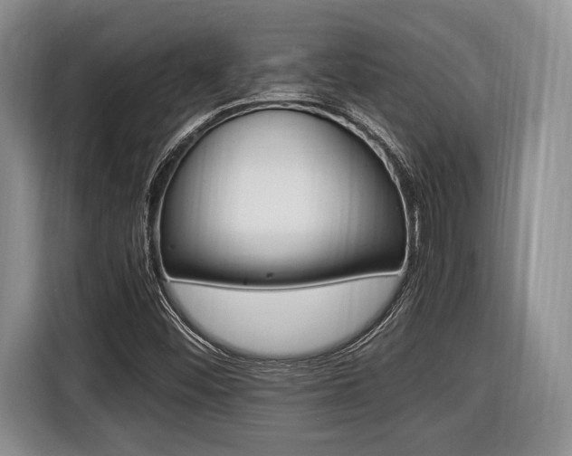 X0000116441452200912081343