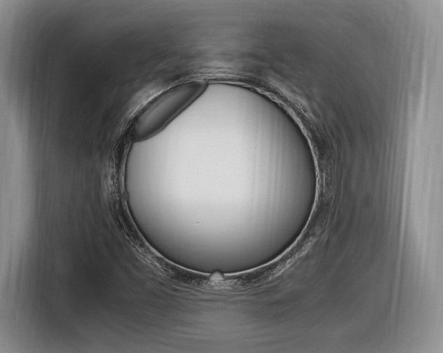 X0000116441453200912081343