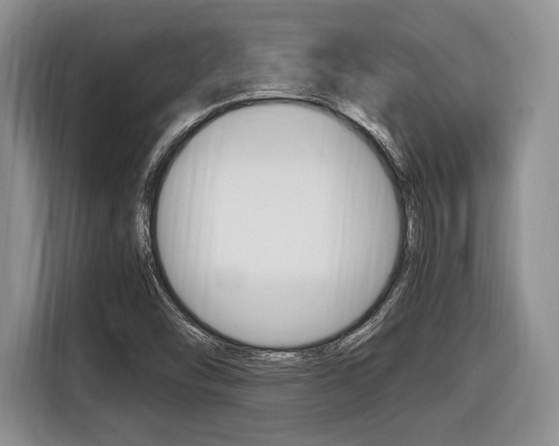 X0000116441454200912081343