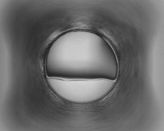 X0000116441455200912081343