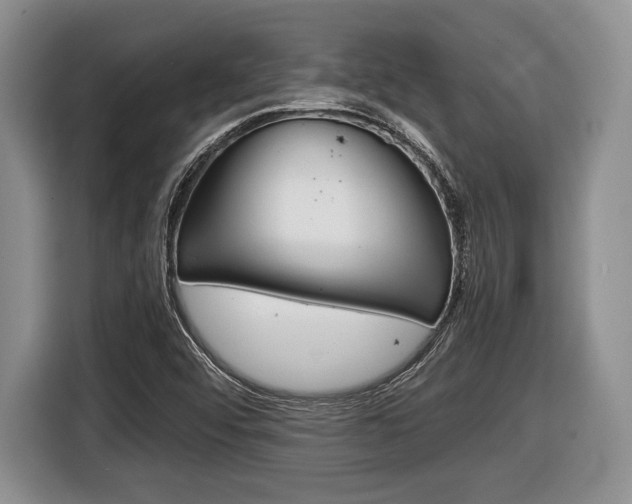 X0000116441456200912081343