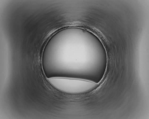 X0000116441457200912081343