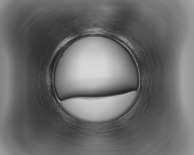 X0000116441458200912081343