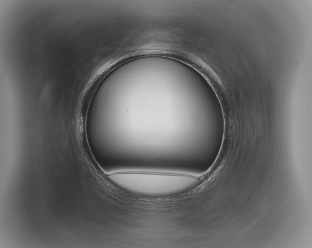 X0000116441461200912081343