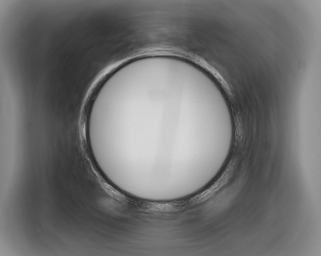 X0000116441462200912081343