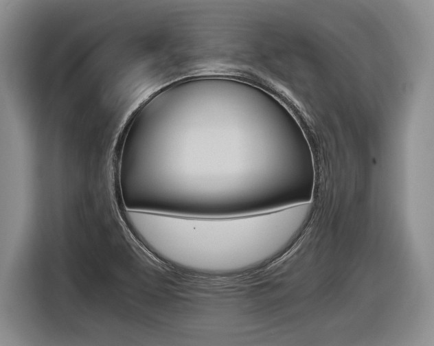 X0000116441463200912081343