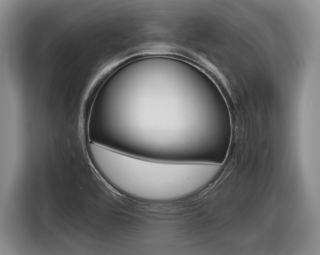 X0000116441464200912081343