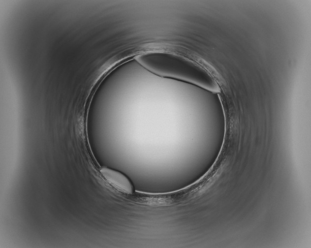 X0000116441465200912081343