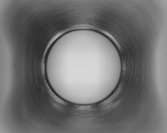 X0000116441466200912081343