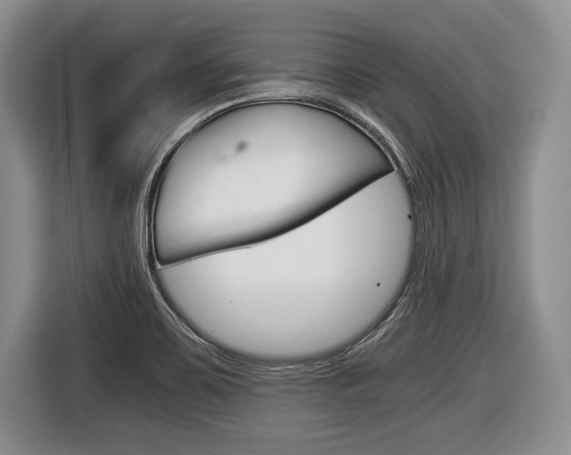 X0000116441467200912081343