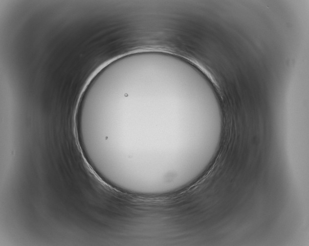 X0000116441468200912081343