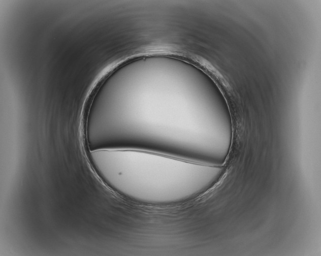 X0000116441469200912081343