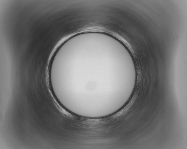 X0000116441470200912081343