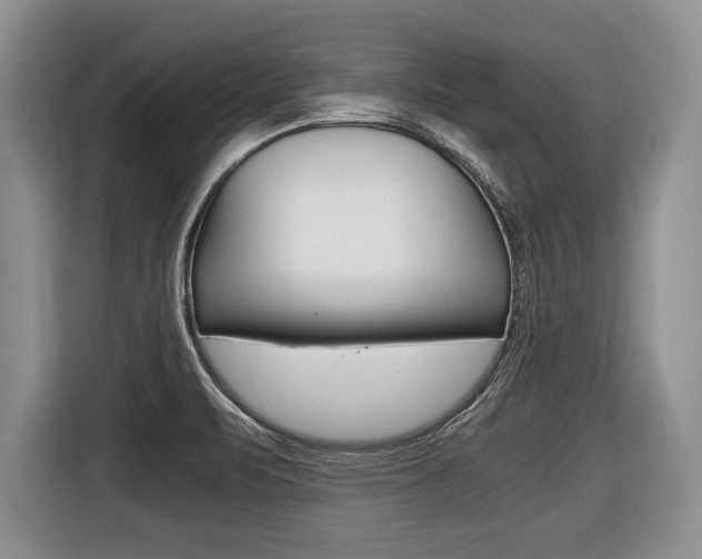X0000116441471200912081343