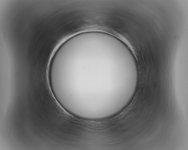 X0000116441472200912081343
