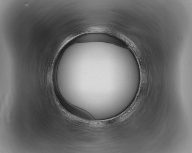 X0000116441473200912081343