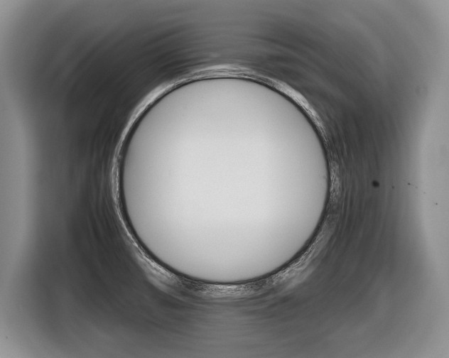X0000116441474200912081343