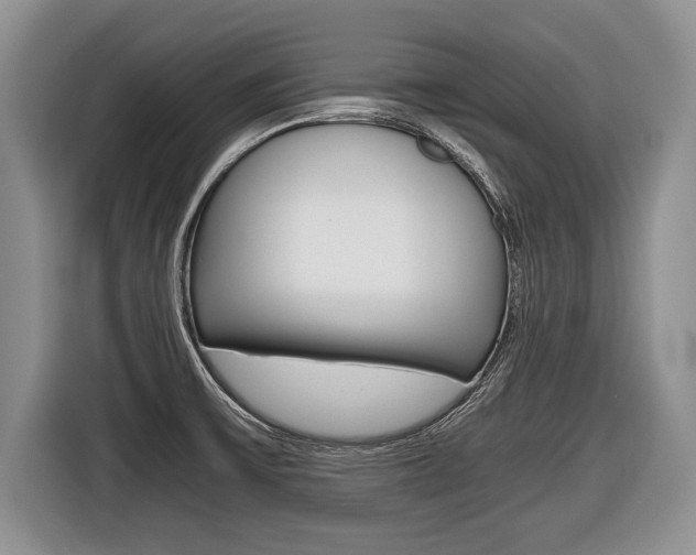 X0000116441475200912081343