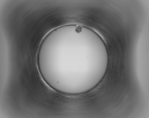 X0000116441476200912081343