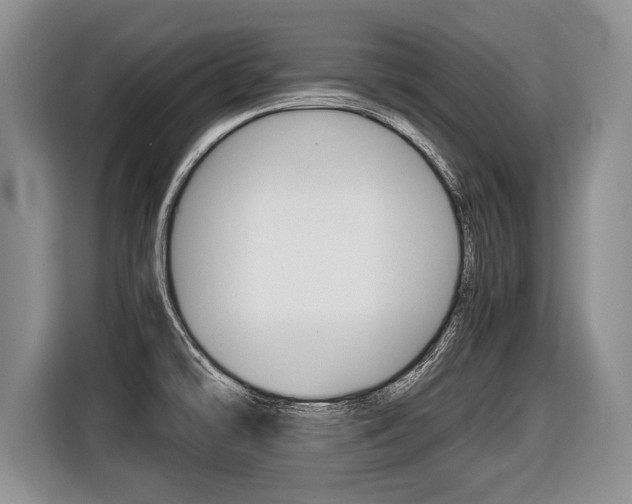 X0000116441478200912081343