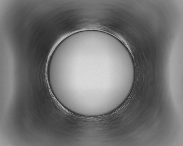 X0000116441480200912081343