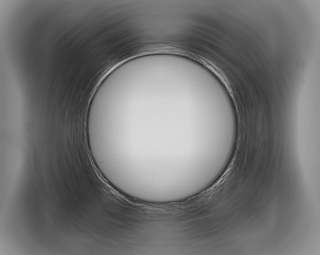 X0000116441481200912081343
