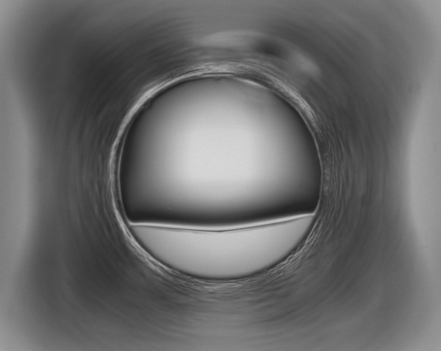 X0000116441483200912081343