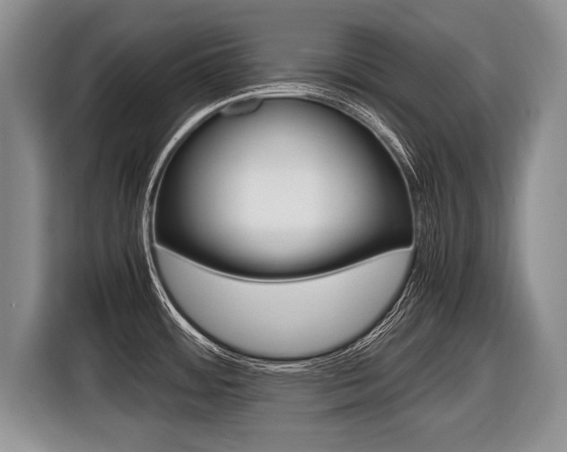 X0000116441484200912081343