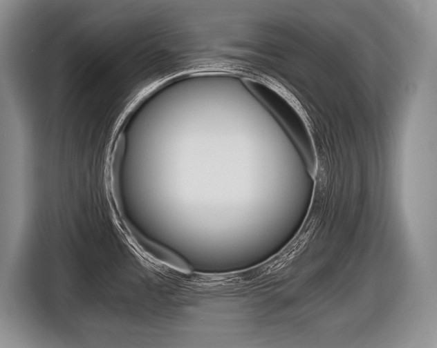 X0000116441485200912081343