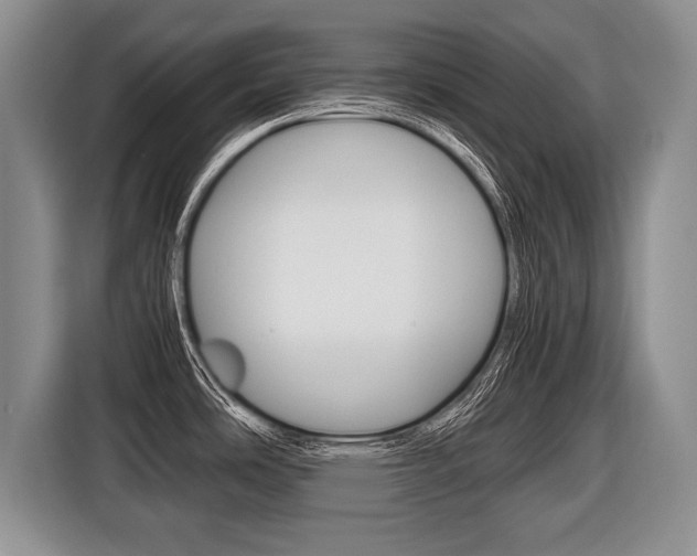 X0000116441486200912081343
