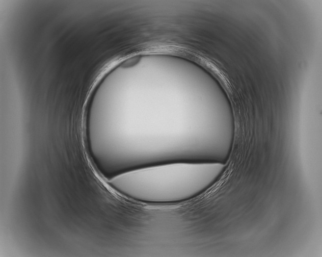 X0000116441487200912081343