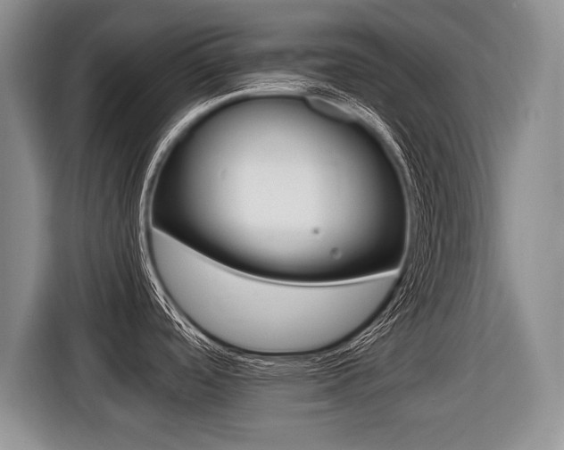 X0000116441488200912081343