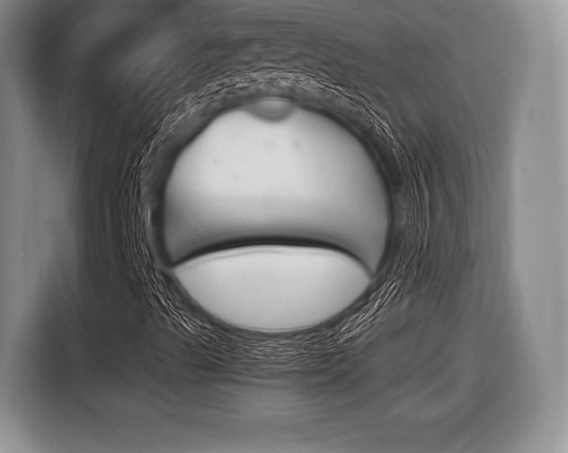 X0000116441489200912081342