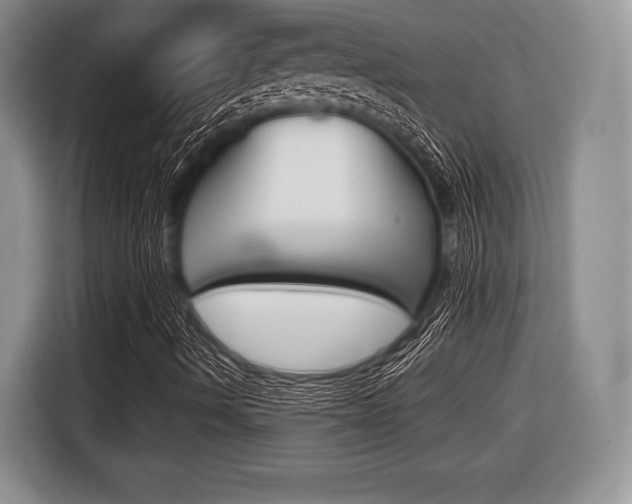 X0000116441490200912081342