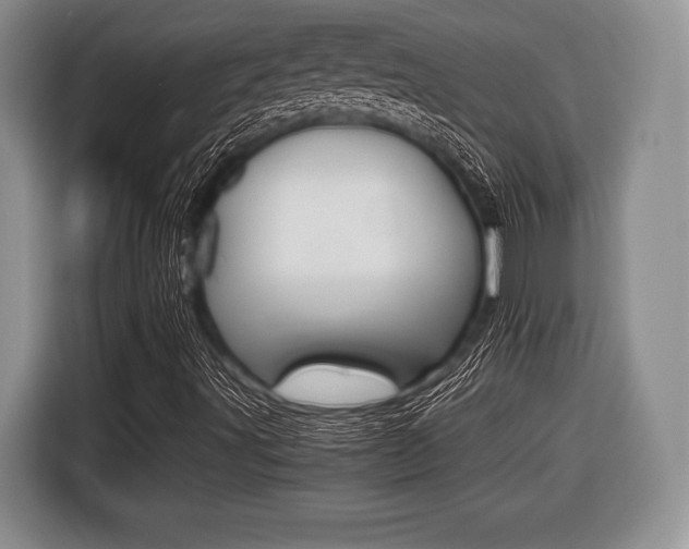 X0000116441491200912081342