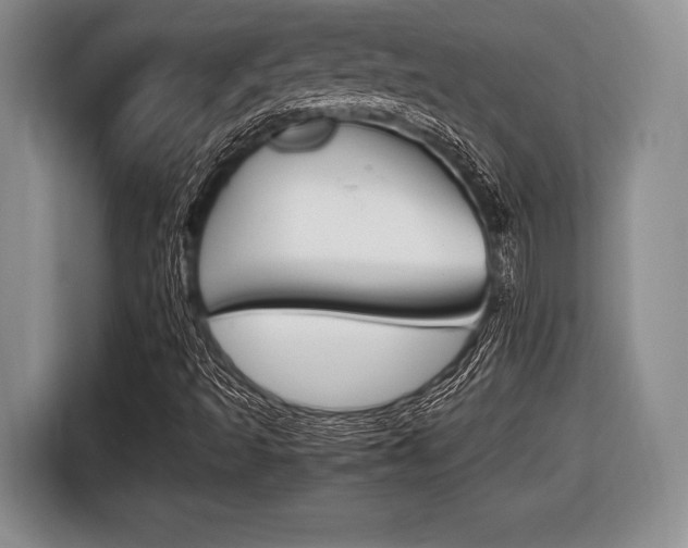X0000116441493200912081342