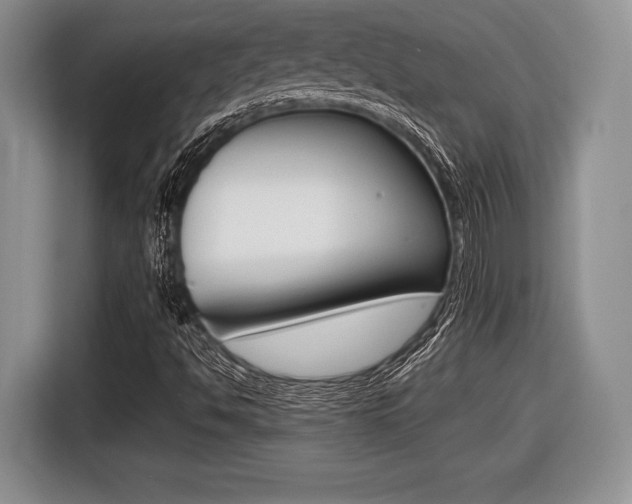 X0000116441494200912081342
