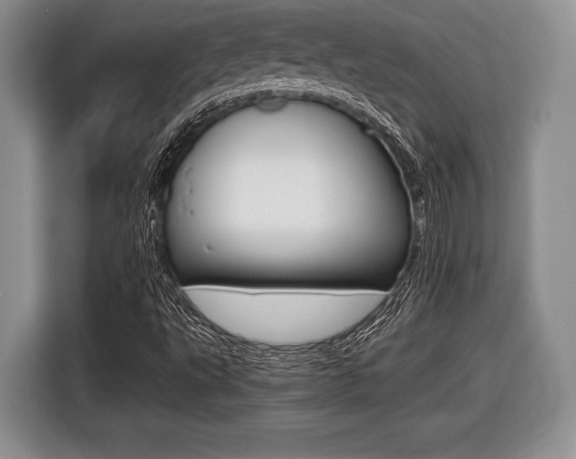 X0000116441495200912081342